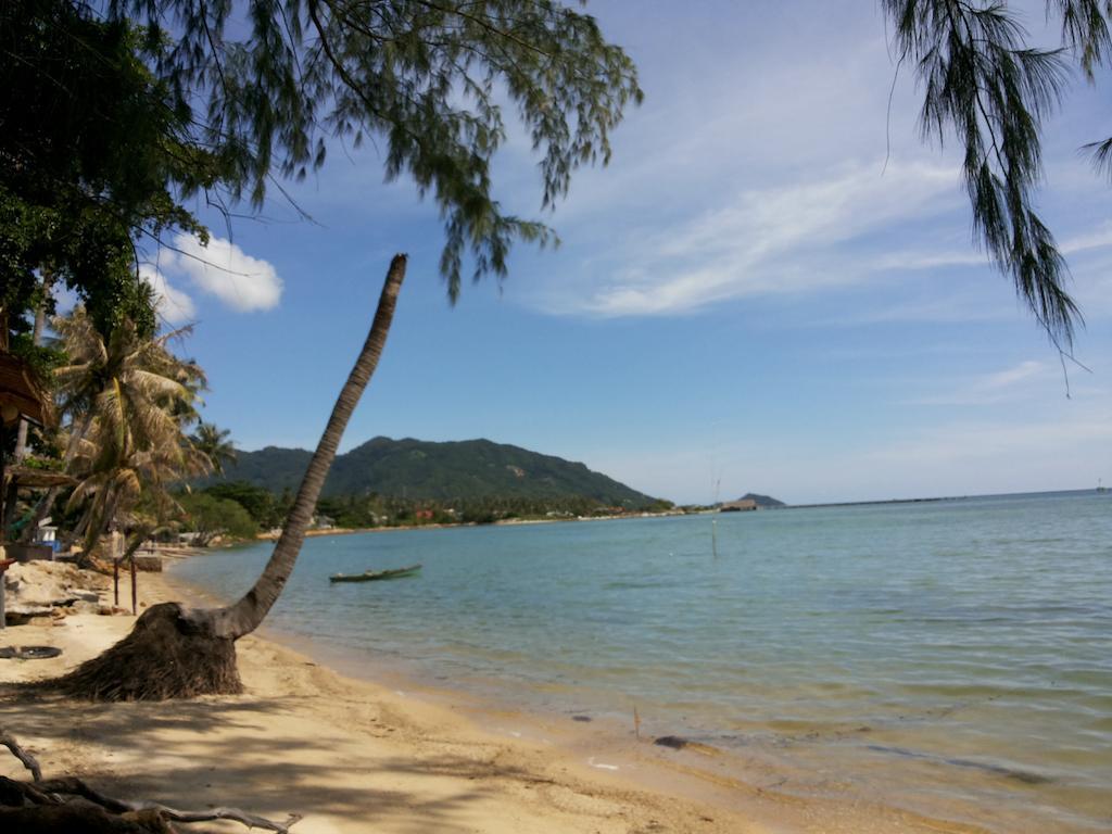 เอบีซี บังกะโล บ้านใต้ ภายนอก รูปภาพ